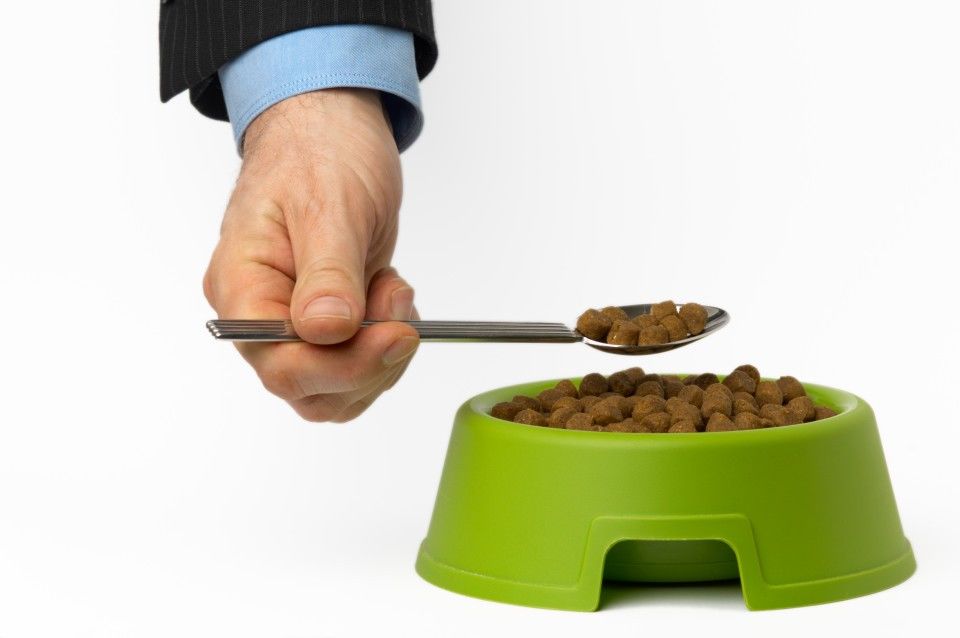 Tester Makanan Anjing